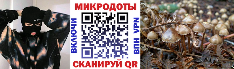 Галлюциногенные грибы мухоморы купить цена Лаишево