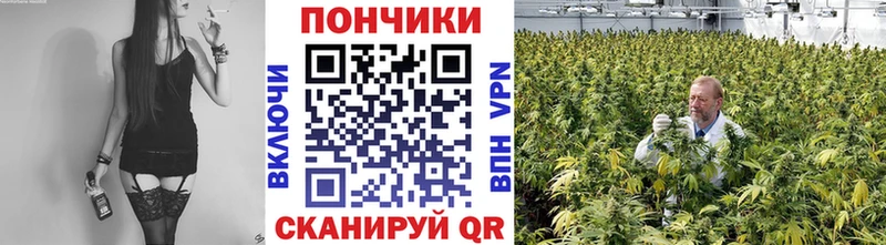 наркотики  MEGA как войти  Каннабис VHQ  Лаишево 